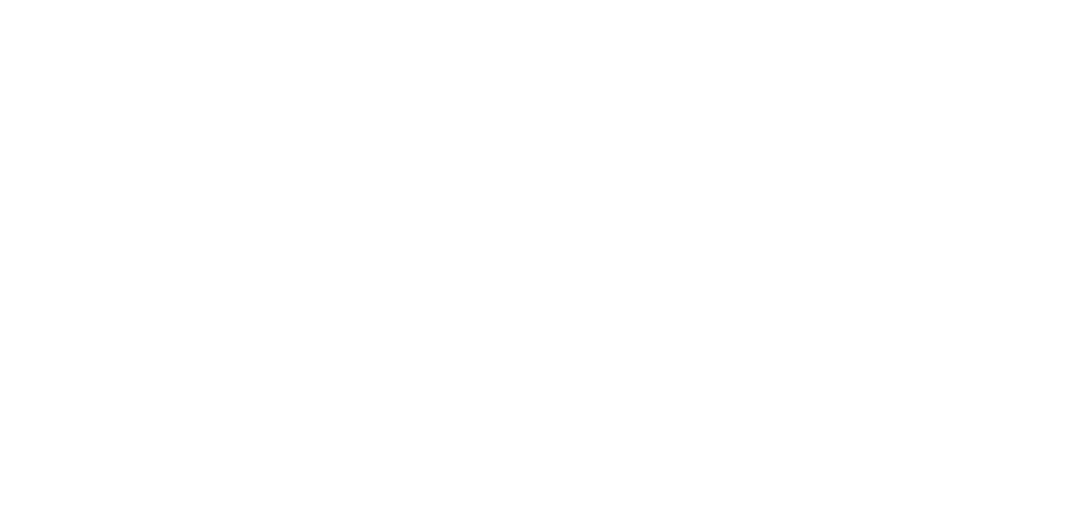 NW Logo White@2x North Water Logo